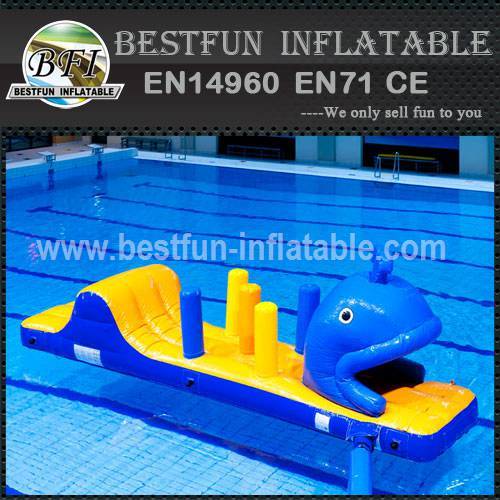 Adult inflatable water park