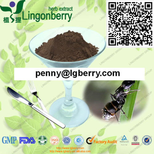Black Ant Extract (HACCP ISO9001 HALAL FDA )