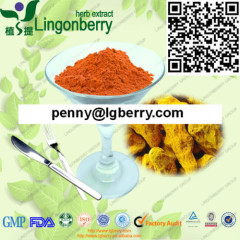 Turmeric Extract / Curcumin Powder