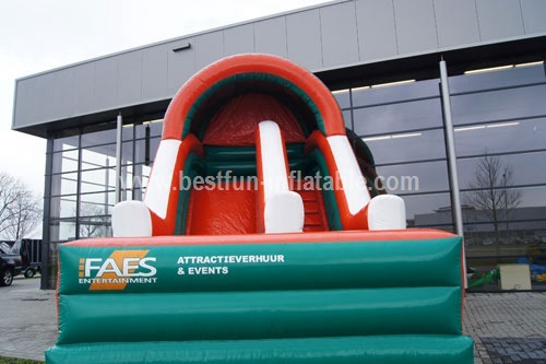 Custom design inflatable slide