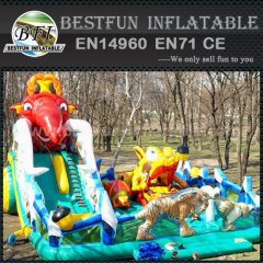 Commercial inflatable climbing slide