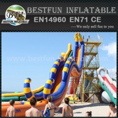 Giant inflatable hippo slide