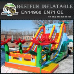 Inflatable Africa forest slide