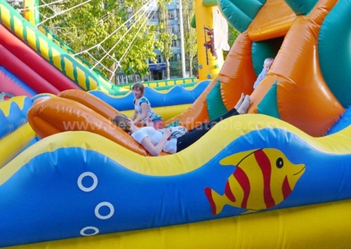 Snappy fish inflatable slide for sale