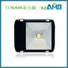 Outdoor IP65 Waterproof 80W Led Landscape Floodlight For Garden, Park and Tunnel