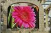 P12 Full Color Outdoor Flexible led screes 7000nits china