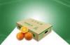 100% Eco - friendly Corrugated Carton Boxes Paper Shipping Box for Fruits Packing