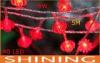 Red Lantern Shape Energy Saving Outdoor LED String Light Rubber Wire