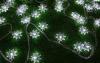 5m 110V 18W Festival Waterproof LED String Lights 50000h Long Life