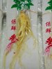 Plastic bag packing ginseng