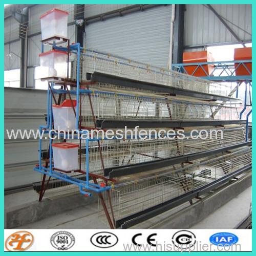 automatic poultry layer cages systems