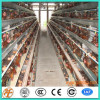 China supplier poultry farm design layer chicken cage