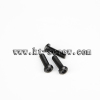 black oxide truss philip head laptop screw (with ISO card)