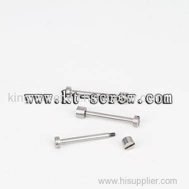 threaded rivet with nylok /chicago screw (with ISO and RoHS certification)