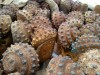 Used PDC Drill Bit