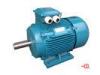 2 pole 380V 50HZ IMB35 / IMV1 S1 Low Voltage Electric Motor 0.75KW - 375KW