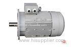 IE2 IP55 Three phase High Temperature Electric Motors 0.75KW - 3KW