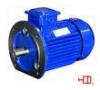 2 Pole 3000 rpm Totally Enclosed Motor High Efficiency Electric Motor 55KW / 75KW