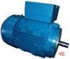 IE1 4KW / 5KW Three Phase Asynchronous Motor with H63-132 Aluminum Frame