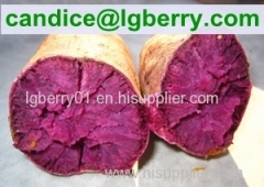 Professional purple sweet potato powder /anthocyanin 5%~70%