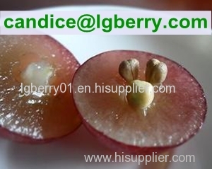 100% natural Grape Seed Extract OPC( Proanthocyanidins )