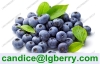 Natural juice powder addtive blueberry juice powder