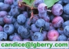 100% Pure organic blueberry concentrate/pure blueberry juice