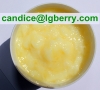 High Quality Royal Jelly Freeze-dried Powder