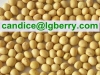 100% Natural Textured Soya Protein (NON-GMO soybean)