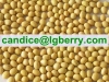 Isolate Soya protein(NON-GMO soybean)