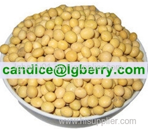 Concentrate Soya protein (NON-GMO soybean)