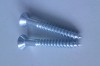 zinc plated wood screw (all kinds of packing )