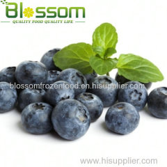 Wholesale market price frozen berries IQF blueberry
