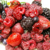 Blended fruit frozen mixed berries