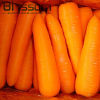 Wholesale chinese market price frozen vegetables carrot