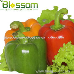 Export to Russia hot sale frozen color pepper