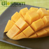 Tropical fruit frozen mango diced mango chunks