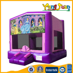 Inflatable Bounce Castle Disney Princess