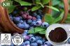 Bilberry Extract; Anthocyanidins 15%, 25%, 35% by UV;Anthocyanins 15%, 25%, 35% by HPLC.