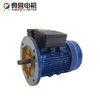3HP single phaseinduction motors / variable speed electric motor