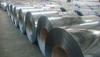 SGCC Hot Dip Galvanized Steel Coil , Cold Rolled Welding Galvanized Steel