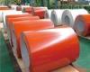 AISI ASTM BS DIN GB JIS Prepainted Galvanized Steel Coil 1220mm width 0.43mm thickness