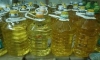 Malaysia CORN OIL oil for sale