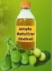 Jatropha Oil / Jatropha Oil