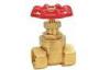 CE Brass Water Fountain Equipment Fountain Gate Valve SS304 NPT Female Thread