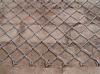 Galvanized chain link wire mesh