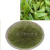 60-200mesh Mulberry Leaf Powder No Additive Pure Manufacturer Direct Sale