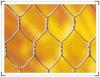 Hexagonal ion wire netting