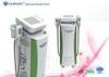 2 Handle Cryolipolysis Slimming Machine , Vacuum Beauty Equipment