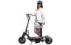 Two wheel EVO E Scooter 48V , Mini Electric Scooter 1000w , 800W , 500W ( CE )